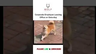 Corporate Employee Leaving Office on Saturday 😭😂 | Weekend Mood | Wolf Placement