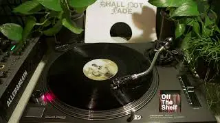 Felipe Gordon - What You Say? [Shall Not Fade&nbsp;&ndash; SNF062]
