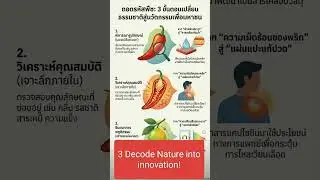 3 Decode Nature into innovation!