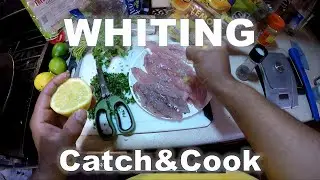 Whiting (Sea Mullet | Southern Kingfish) Catch and Cook - LEMON, BUTTER, GARLIC, CILANTRO