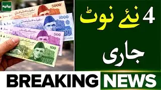 Finally! Govt Approves 4 New Currency Notes in Pakistan (Official) | Breaking News