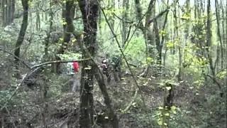 Gruppo Trekking Tripetetolo, Travalle-sul sentiero degli Etruschi