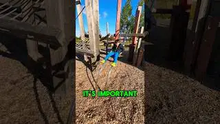 How to Safely Use Sliding Poles | A Guide for Kids #shorts #learning  #slide