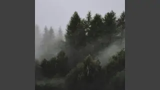 poison tree - Instrumental
