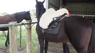 Yvonne and Dana: stirrups leg pulling unsaddling