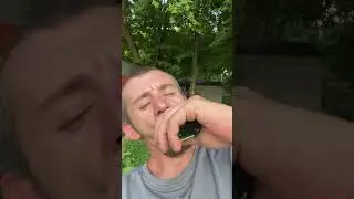 Sour apple ice geek bar