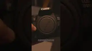 Should You Buy the Canon 2000D in 2023?