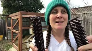 Review of Bird Spikes, Squirrel Spikes，Spike Strips for Bird Cat Squirrel Raccoon Animals Repellent