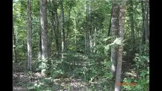 Lots And Land for sale - 29459 OLD OFFICE RD, RHOADESVILLE, VA 22542