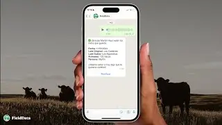 FieldData Tutorial - Espa&ntilde;ol