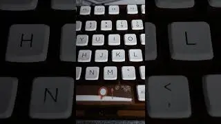 Womier G75 Gasket Mount Sound Test