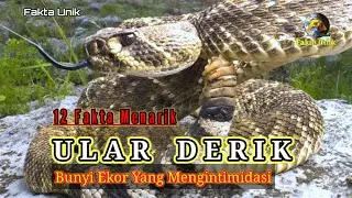 Berbisa Tinggi Tapi Jarang Menyerang Manusia. 12 Fakta Menarik Ular Derik
