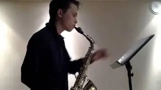 ❗ 🎷Saksofono muzika ivairioms progoms VAKARIS 8 695 25872❗ 🎷