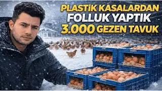 Kasalardan Folluk Yaptık! Çiftlikte Yeni Gelişmeler | Gezen Tavuk Çiftliği | Köy Hayatı #gezentavuk