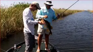 MikeyBalzz and Captain Shane Topwater Bass Fishing the Florida Everglades