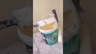 Asianpaints Apex Shyne Colour Ideas #shortsviral #short