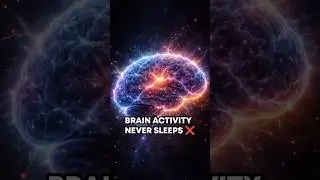 YOUR BRAIN LIGHTS UP WHILE YOU SLEEP 💤✨ #shorts