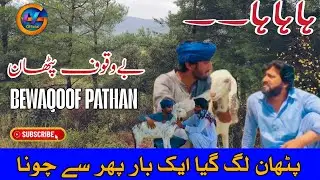 Bewaqoof Pathan | Urdu Funny Video | GM Official #gmofficial 
