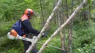 work in the forest in Sweden