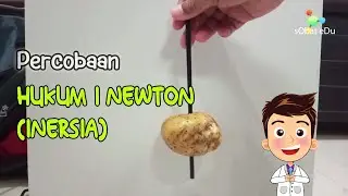 IPA FISIKA : Percobaan Hukum 1 Newton, Inersia atau Kelembaman (praktek fisika praktikum sederhana)