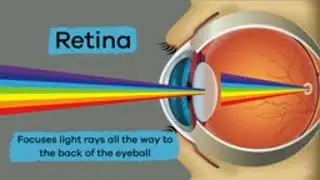 science fiction about why do eyes blink before the dust enters