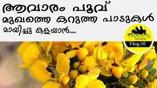 Homemade Aavaram Poo Facepack ആവാരം പൂവ്  തേടി #beauty #facepack  #aavarampoo