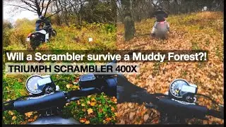 Triumph Scrambler 400x MUDDY FOREST TEST! - Off Road | RAW Sound | POV [4K]