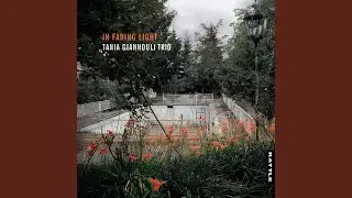 Ingravida