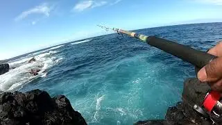 Carangue moucheté