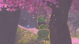 Upside-Down Hide-and-Seek Request - New Pokemon Snap Request Guides