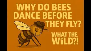 Why Bees Dance Before They Fly? | WhatTheWild?! 🐝✨
