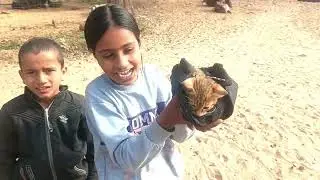 Aaj Baacho ko Cat 😺 Ka Baacha kaha se Mel gya 😅
