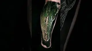 ShOoBY | Crocodile Color Realism Tattoo #shorts #tattoo #crocodile