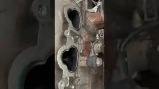 Alto 800 engine tuneup
