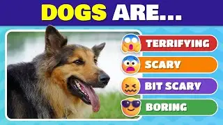 How SCARED Are You? 😱💀 | Tier List FEARS