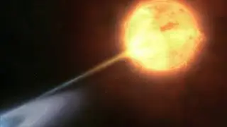 Neeky Funkzoid - the FU(NK)TURE