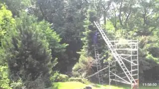 Ron Tree cutting