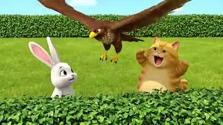 the hilarious moment a fat cat and rabbit's unexpected meeting! Funny Fat Cat