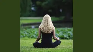 Serenity in Rain Melodies
