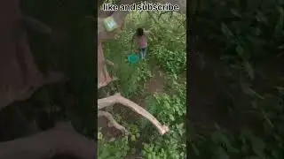 part-2 plastic tab 😍short video and like for tree 🏡.
