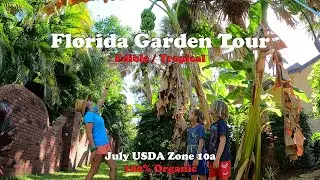 Florida Organic Edible / Tropical Garden Food Forest Tour | July Zone 10a