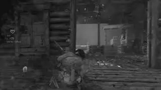 Rise of the Tomb raider