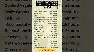 How Long Does It Take to Digest Food?