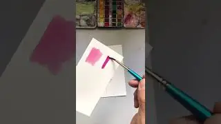 PAINT WITH ME Petirrojo Andrajoso en Acuarela - Desafío 100 flores con Calu