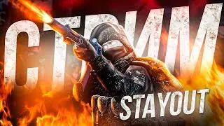 Stalker online | Stay out | Сталкер онлайн - Стрэм с морковочкой