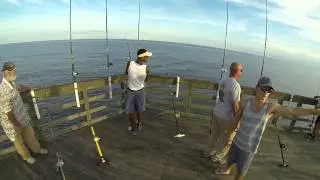 Eric Fowler Hammerhead Catch and Release 20140915