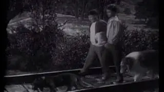 Lassie - Episode 83 - 