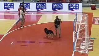 Unidad Canina del Tercio de Levante de la Armada Espa&ntilde;ola