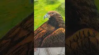 eagle with #oilpasteldrawing #stepbystep #doms #oilpastel #drawing #pasteldrawing #easy #birds