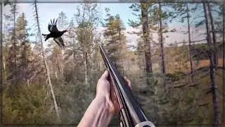 Skogsf&aring;geljakt - 2 meter fr&aring;n en orrtupp! (Logdansare VS J&auml;gare) Detta g&ouml;r vi aldrig om...